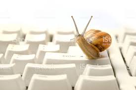 Ordinateur qui rame - Escargot sur un clavier-Dépannage informatique Avignon